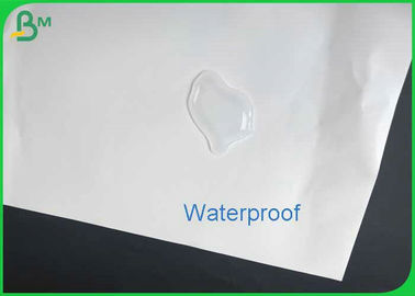 Waterproof Durable 120gsm 140gsm 160gsm Kertas Batu Ramah Lingkungan Untuk Membuat Peta