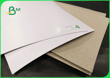 250gsm 300gsm Coated Duplex Board White Surface Untuk Kemasan Lapisan Kemeja