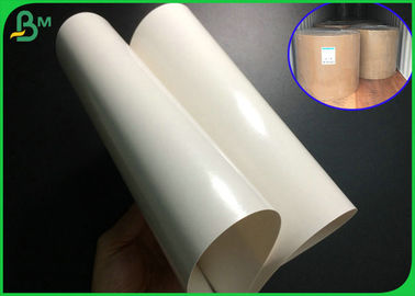 Disetujui FDA 300gsm 350gsm 400gsm C1S PE Coated Ivory Board Untuk Lunch Box