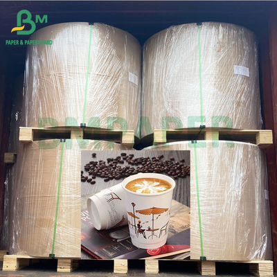 Noddles Bowl 225gsm Waterproof PE Coated Coffee Cup Paper Roll