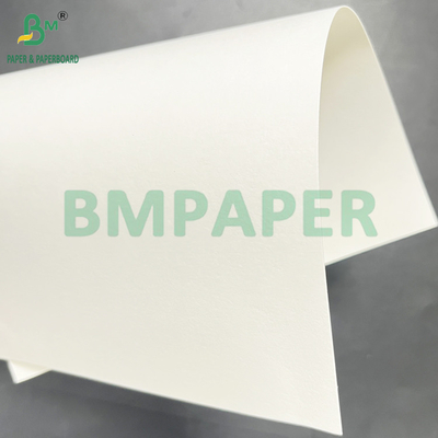 200gm 400gm Natural White Sugarcane Pulp Foods Grade Sheet