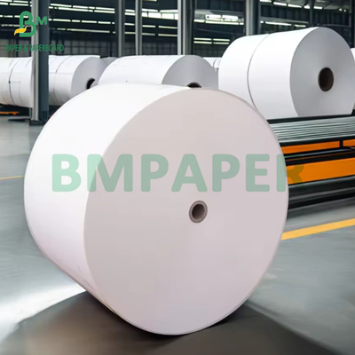 190gm + 15g PE Lapisan Cupstock Paper Roll Untuk Minuman Panas atau Dingin Bulk Tinggi