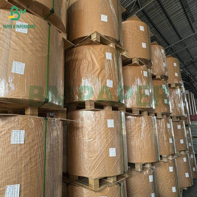 240g + 18g PE Lapisan Piala Stok Kertas Mat Finish Satu Sisi Custom Roll Lebar 430mm - 2100mm