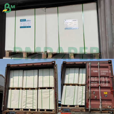 Kertas Food Grade Beku Untuk Kotak Kemasan Makanan Laut Udang Dilapisi PE 275+15g