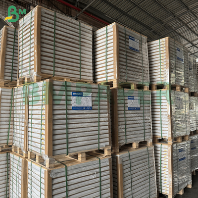 55gsm 80gsm NCR Karbonless Copy Paper 70 x 100cm Sensitivitas Tinggi Gambar Biru