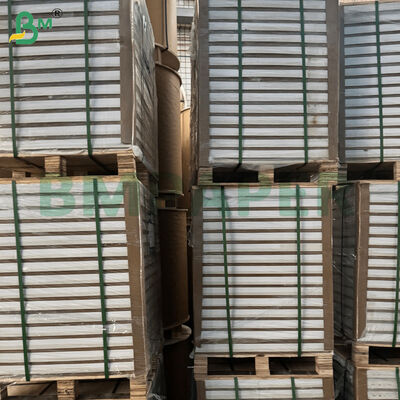 Lembaran Kertas Seni C2S Glossy Berlapis Ganda Sisi 100/180/200gsm