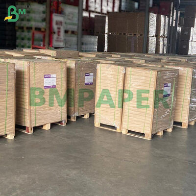 Non - Stick Parchment Paper Untuk Air Fryer, Steamer, Oven, Putih & Alam