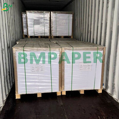 0.012" Caliper C1S Solid Bleached Sulfate (SBS) Karton untuk kemasan tembakau
