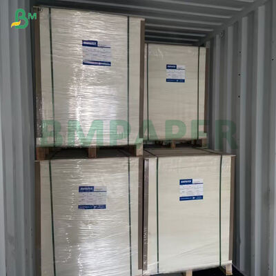 Daun Pohon Perawan Lembar Kertas Tanpa Kayu Berwarna Putih Tinggi