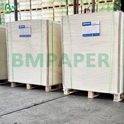 300gsm High Stiffness Food Grade Noodle Base Bowl Paper Sheets