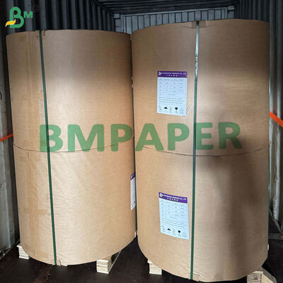 Makanan Aman 170 - 320gsm + 15g PE Cupstock Paper Untuk Minuman Panas Kebocoran Proof 870mm