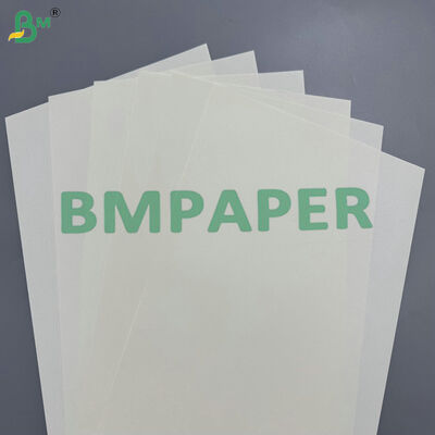 60-120gsm Bulk Supply Cream Woodfree Offset Paper untuk Notebook & Printing Buku