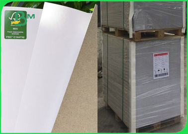Duplex Board Coated Gray Back 250g 300g 350g Permukaan Halus Untuk Paket