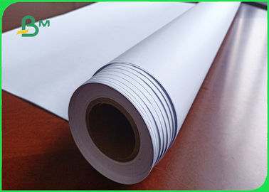 Panjang 50 / 100m 100% Pulp Kayu Lempar Kerutan Plotter Paper Untuk Menggambar