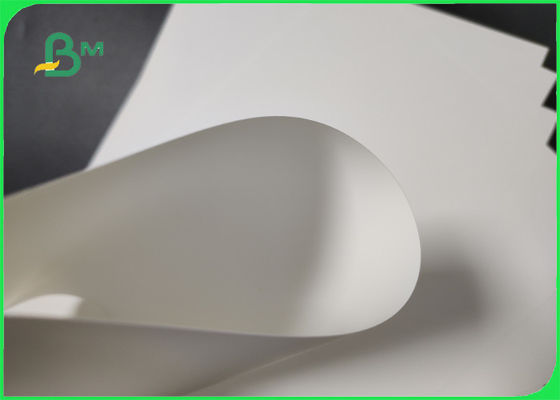 Cetak Offset 787mm 80um White PP Synthetic Paper Untuk Artware Tear Resistance