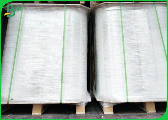 35gsm 38gsm Roll 35 Inches Greaseproof Paper Oil Food Packing Atau Anyaman
