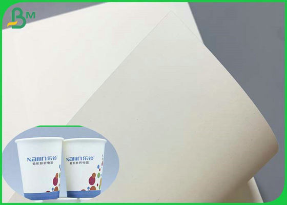 SGS Bersertifikat 230g 260g PE Coated Cupstock Base Paper 850mm Roll