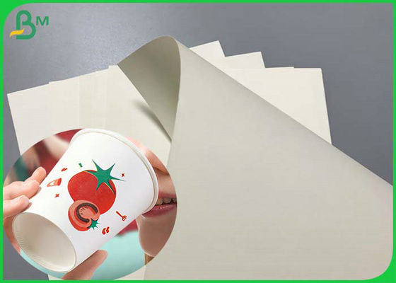 210g White Printable 650mm Cupstock Paper Untuk Gelas kertas sekali pakai