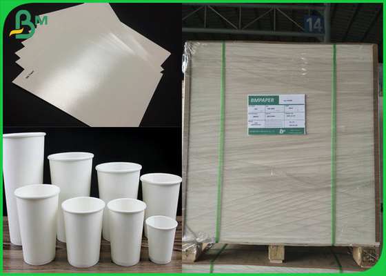 ECO 210 230 Grammages Cup Base Paper Board Dilapisi Polyethylene Untuk Paper Cup