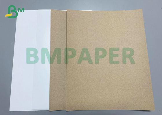 White Top Brown Back Cardboard 300gsm 350gsm Untuk Kotak Makanan Beku