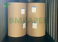 CUPP1S 230gsm + 15g PE Coated Paper Untuk Minuman Dingin Cup 880mm 900mm
