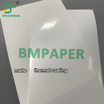 Termal Synthetic Paper Jumbo Roll 1090mm*8000m Bahan kertas label tahan air mata