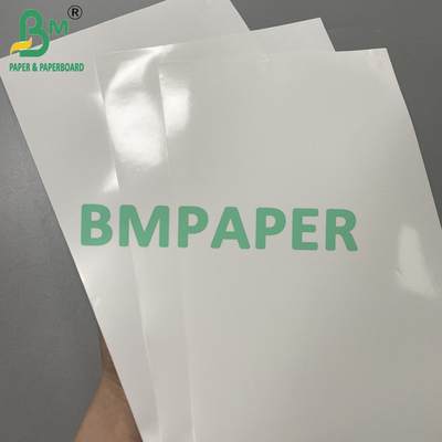 Termal Synthetic Paper Jumbo Roll 1090mm*8000m Bahan kertas label tahan air mata