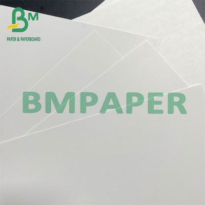 250gm 350gm Food Grade C1S Coated Paperboard Untuk Pengemasan Beku