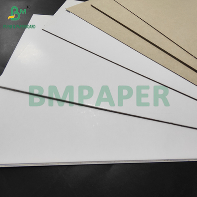 450gm 500gm C1S Duplex Board Grey Back Untuk Pasta Gigi Kotak 800 x1000 mm