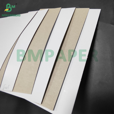 450gm 500gm C1S Duplex Board Grey Back Untuk Pasta Gigi Kotak 800 x1000 mm