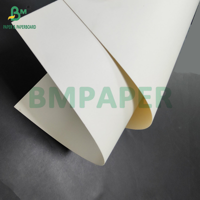 300gm + 15g PE Lapisan Food Grade Paper Untuk Container Makan siang 700 x 1000mm