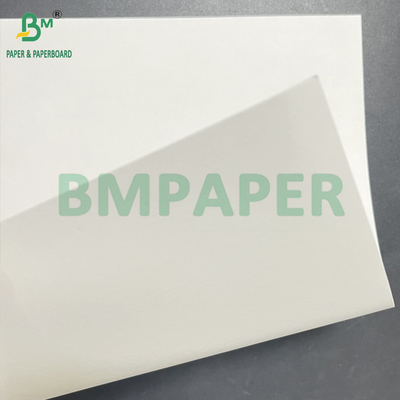 200gm 400gm Natural White Sugarcane Pulp Foods Grade Sheet