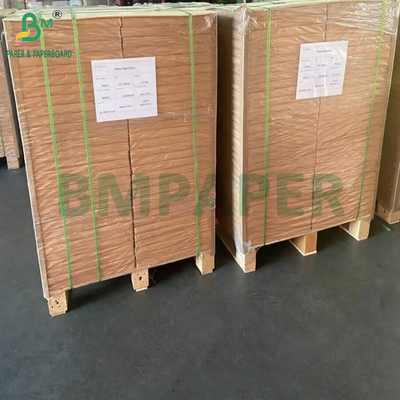 200gm 400gm Natural White Sugarcane Pulp Foods Grade Sheet