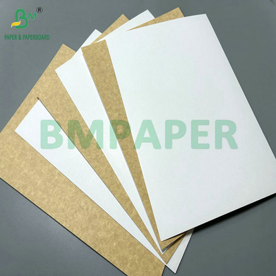 Kekuatan yang baik 150 Gram hingga 400 Gram Roll atau Lembar Kertas Kraft Natural Brown untuk Cangkir Makanan
