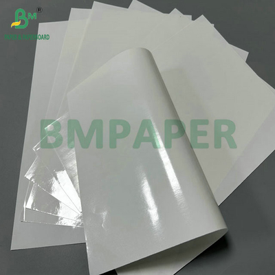 100% Waterproof Glossy 2 Side 100 gram PE Coated Paper untuk membuat kantong kemasan benih