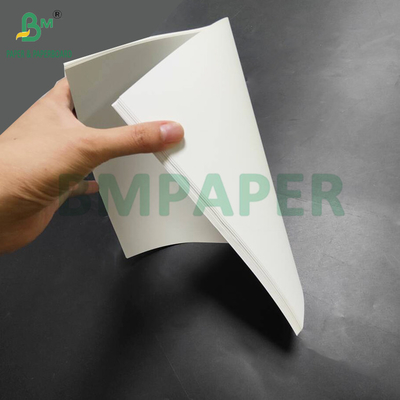 Kertas sintetis PET tahan panas 150um untuk belakang - Menus bercahaya kepadatan tinggi
