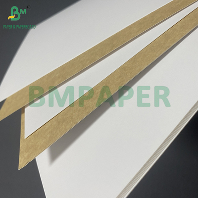 270gm 300gm Food Grade Coated White Top KLB Kraft Back Carrier Board 31&quot; 43&quot;