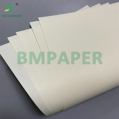 Ivory Color Smooth 50gsm Woodfree Paper Uncoated Book Paper Jumbo Roll