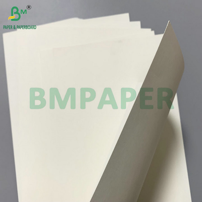 PE Coated Paperboard 260gsm + 15gsm PE untuk membuat wadah ayam goreng