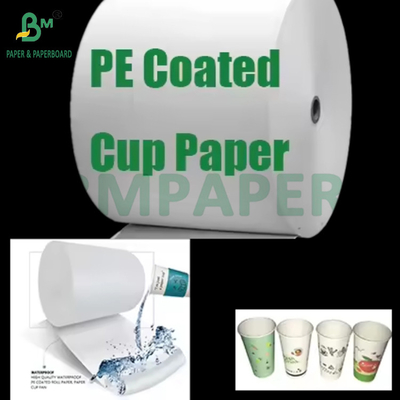 190gm + 15g PE Lapisan Cupstock Paper Roll Untuk Minuman Panas atau Dingin Bulk Tinggi