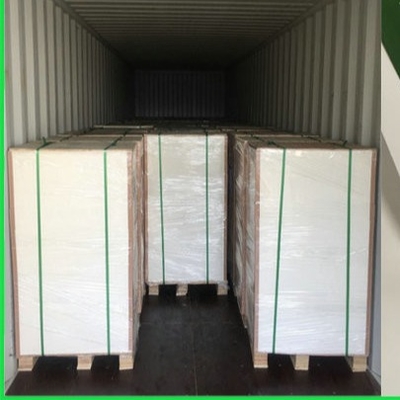 100% Pulp Kayu Disesuaikan C1S Ivory Paper Board Lipat 250gsm