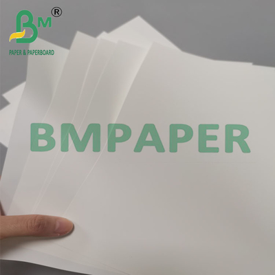 Kertas brosur sintetis tahan panas 250um 260mm