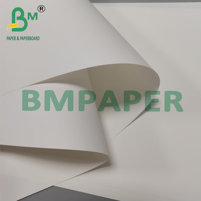 Kertas brosur sintetis tahan panas 250um 260mm