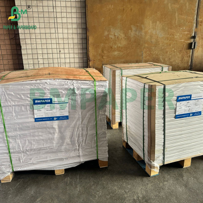 200gsm PET Waterproof Paper Untuk Menus Percetakan 320 x 455mm Laser UV Printer