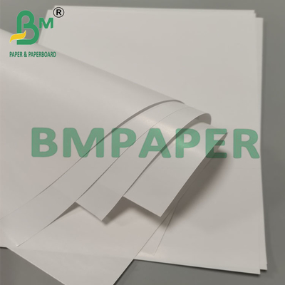 80g Camilan Makanan Penutup Kertas Kemasan Cup Kerucut Anti Bocor Biodegradable