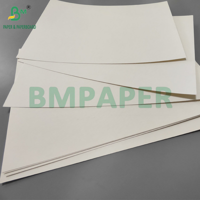 190gm + 15g PE P1S Cup Paper Gloss Untuk Toko Kopi Waterproof 720mm 880mm