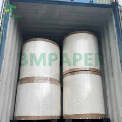 190gm + 15g PE P1S Cup Paper Gloss Untuk Toko Kopi Waterproof 720mm 880mm