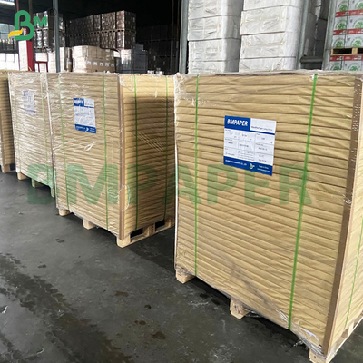 Putih Dan Tidak Dicairkan Kopi Filter Paper Roll Dan Lembar 50gm