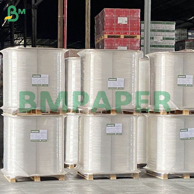Food Safe Water Resistant Biodegradable Straw Paper untuk Minum