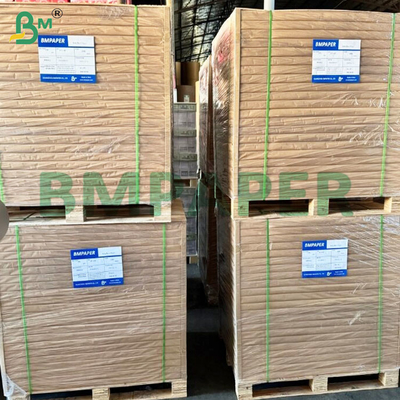 50 GSM Tanpa Bau Efisiensi Penyaringan Tinggi Gulung Kertas Filter Kopi